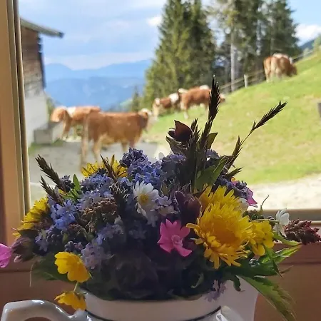 Appartement Praedastenhof Auffach