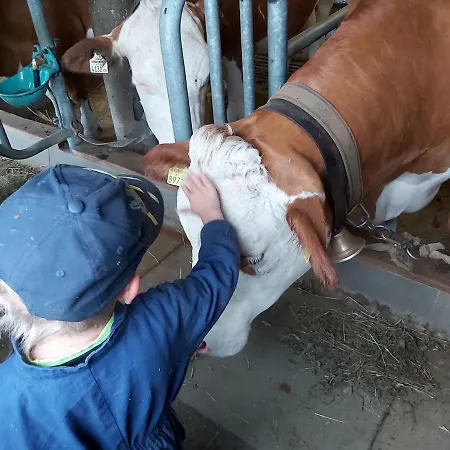 Appartement Praedastenhof *