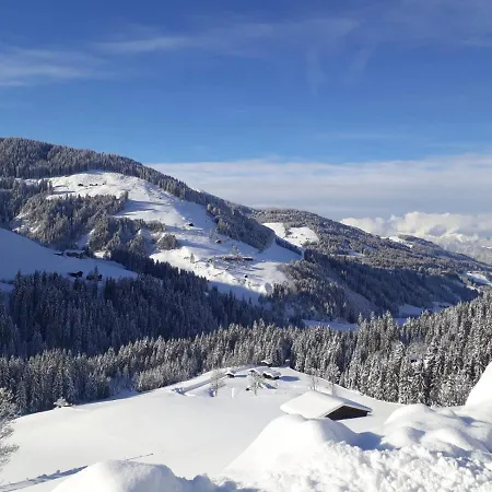 Praedastenhof 公寓 奥法赫