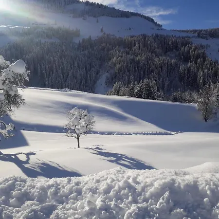 Praedastenhof 아파트 아우파흐