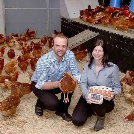 Praedastenhof * 아우파흐